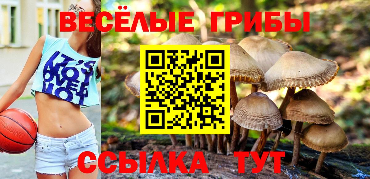 Псилоцибиновые грибы мицелий  Вход с VPN  Лобня 